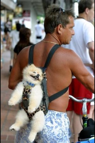 保存したら負け！きゃわい〜動物の画像！