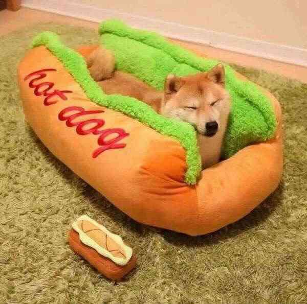 保存したら負け！きゃわい〜動物の画像！