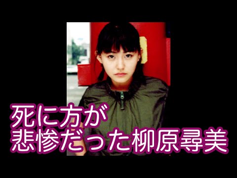 もう一度テレビで見たい亡くなった芸能人