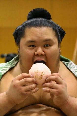 お相撲さんアルバムー年越し編ー