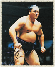 お相撲さんアルバムー年越し編ー