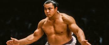 お相撲さんアルバムー年越し編ー