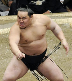 お相撲さんアルバムー年越し編ー