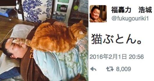 お相撲さんアルバムー年越し編ー