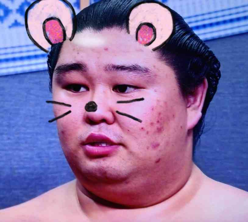 お相撲さんアルバムー年越し編ー