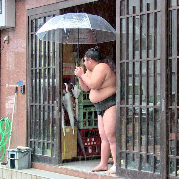 お相撲さんアルバムー年越し編ー