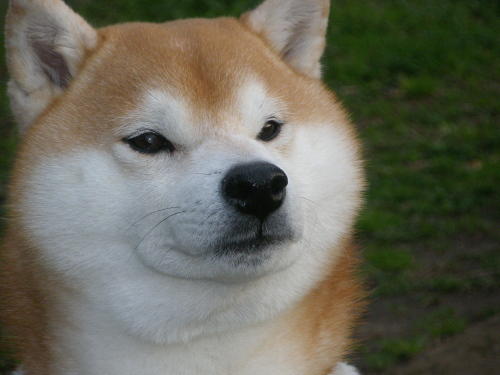 男か女かわからない画像を貼ろう!