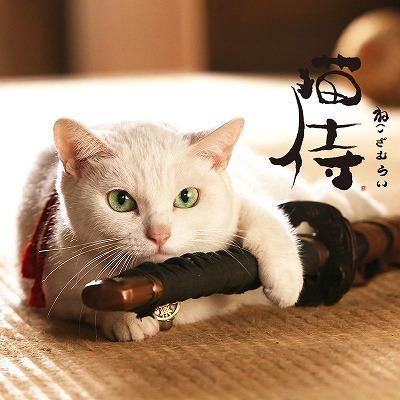 猫好きのための雑談