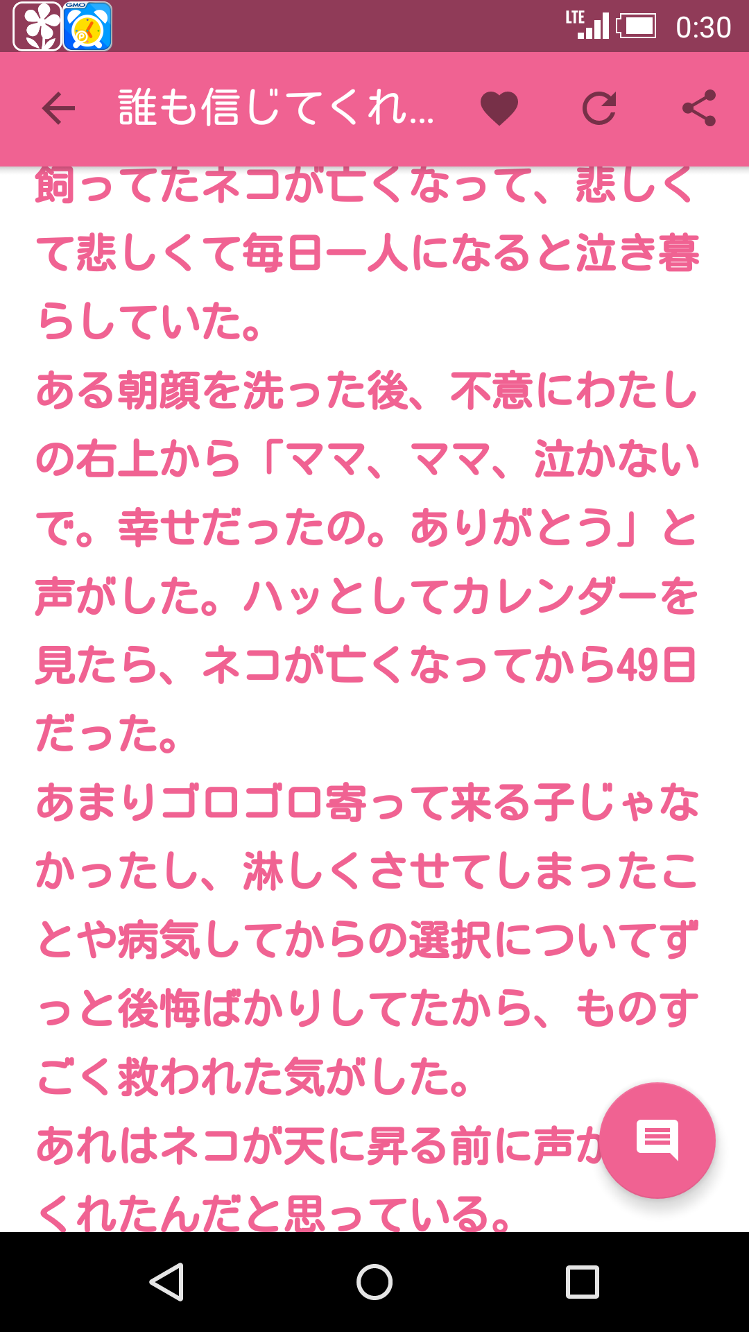 猫好きのための雑談