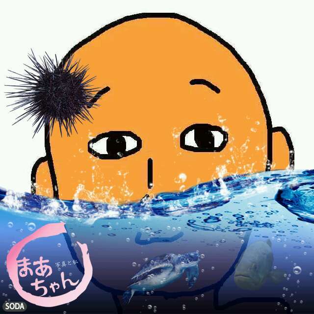 ボクを、芸能人にしてください。