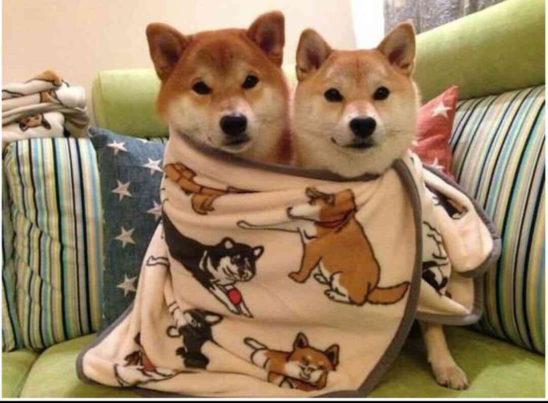 自分に合う精神科・心療内科の見付け方