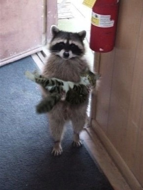 じわじわ来るガルちゃんの投稿