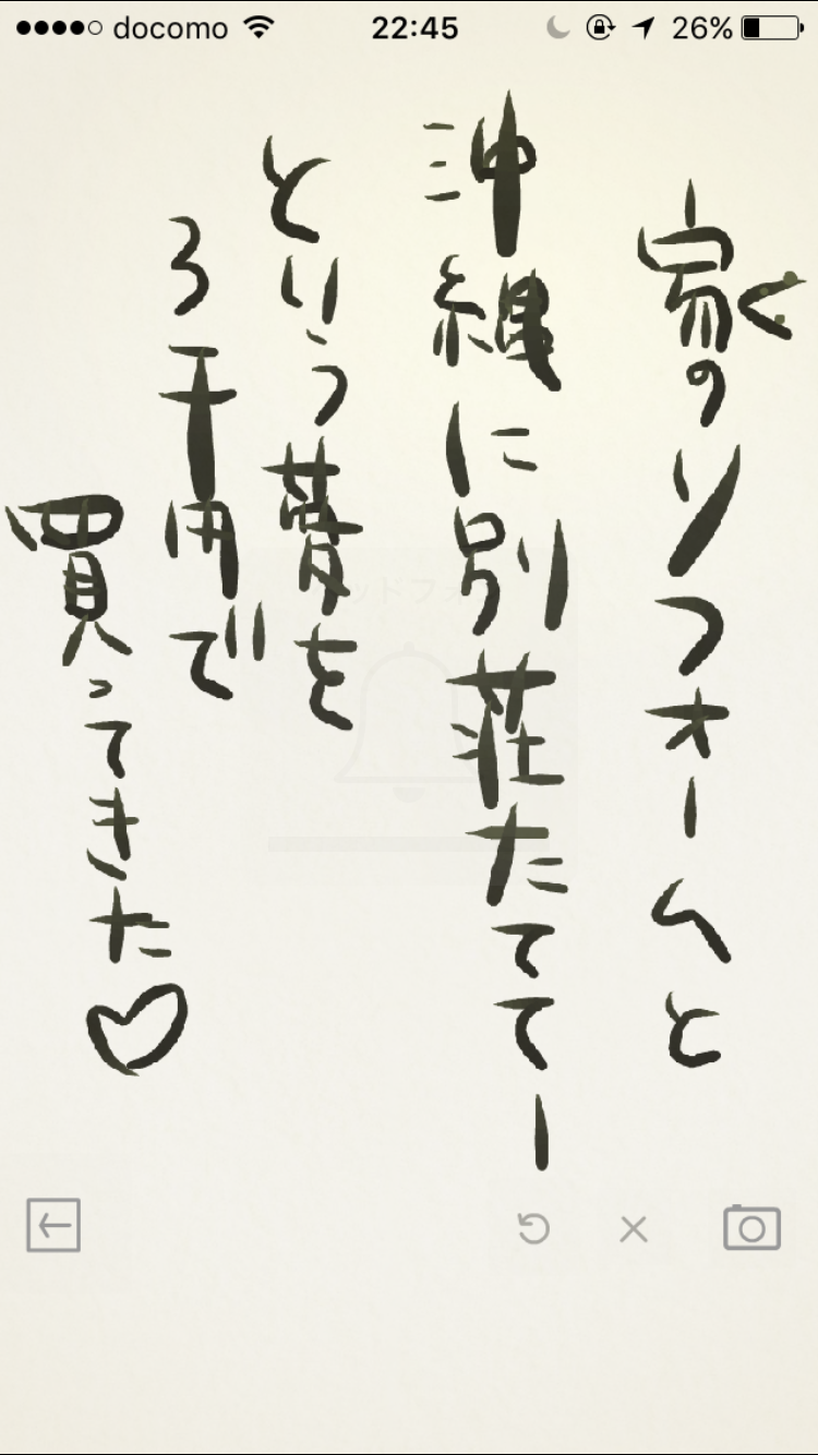 筆談で土曜の夜を静かに楽しく過ごすトピ