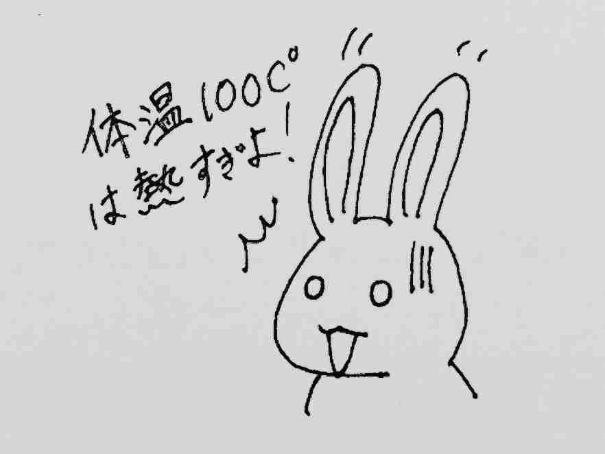 筆談で土曜の夜を静かに楽しく過ごすトピ