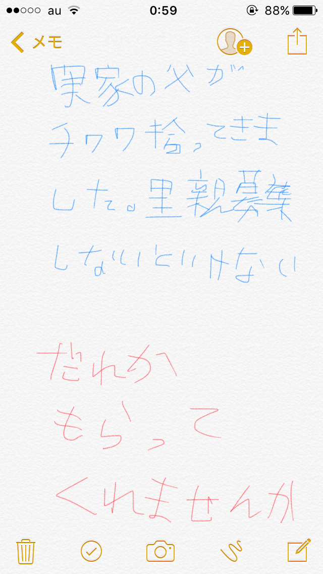 筆談で土曜の夜を静かに楽しく過ごすトピ