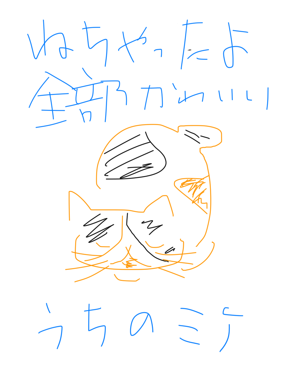 筆談で土曜の夜を静かに楽しく過ごすトピ