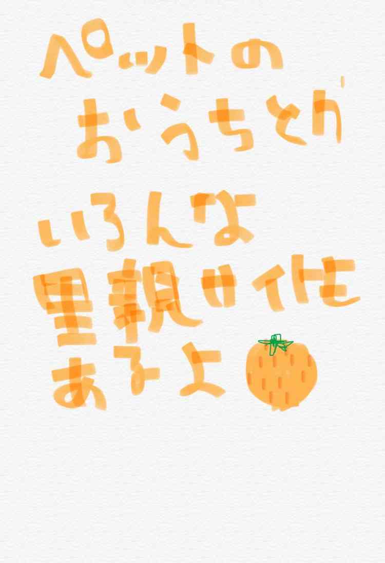 筆談で土曜の夜を静かに楽しく過ごすトピ