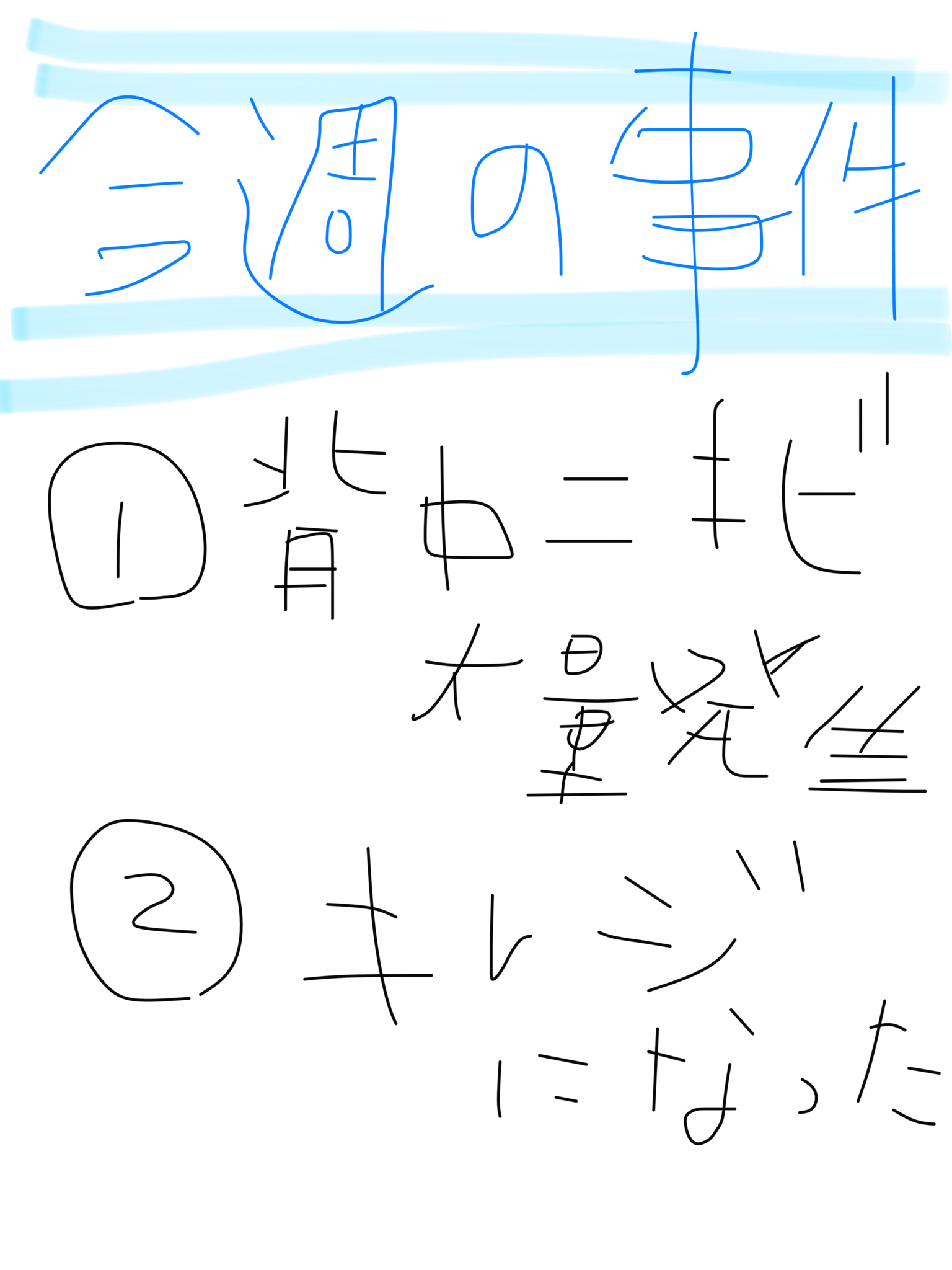 筆談で土曜の夜を静かに楽しく過ごすトピ