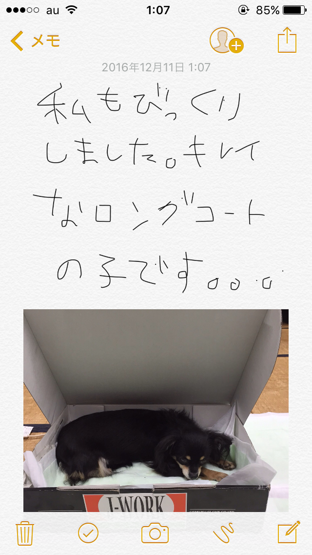 筆談で土曜の夜を静かに楽しく過ごすトピ
