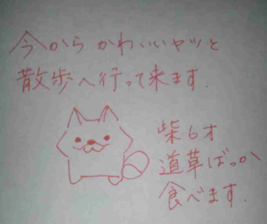 筆談で土曜の夜を静かに楽しく過ごすトピ