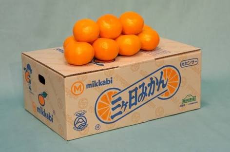 地元のブランド野菜・果物について語ろう