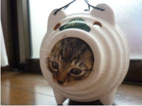 なぜそこに！？と思う猫画像