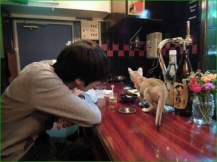 なぜそこに！？と思う猫画像