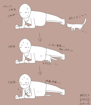 なぜそこに！？と思う猫画像