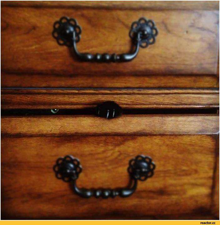 なぜそこに！？と思う猫画像