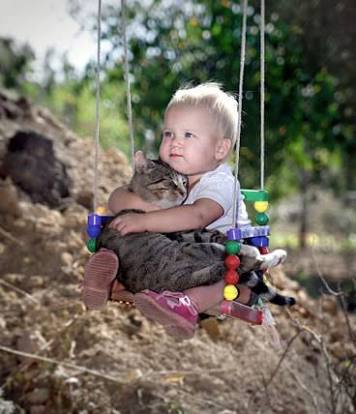 なぜそこに！？と思う猫画像
