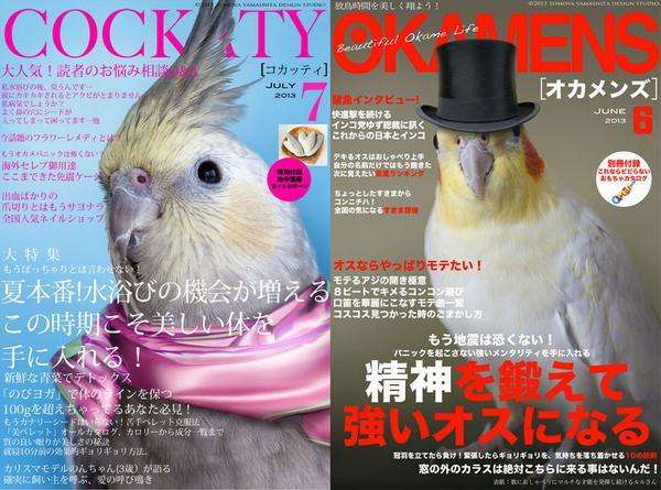 鳥カフェ、オープン！
