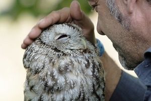 鳥カフェ、オープン！
