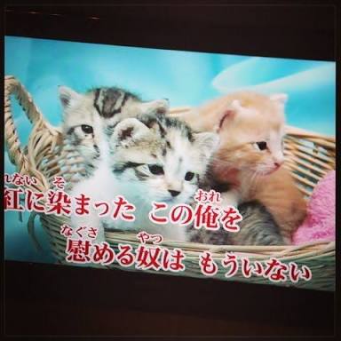 思わず笑ってしまう歌詞