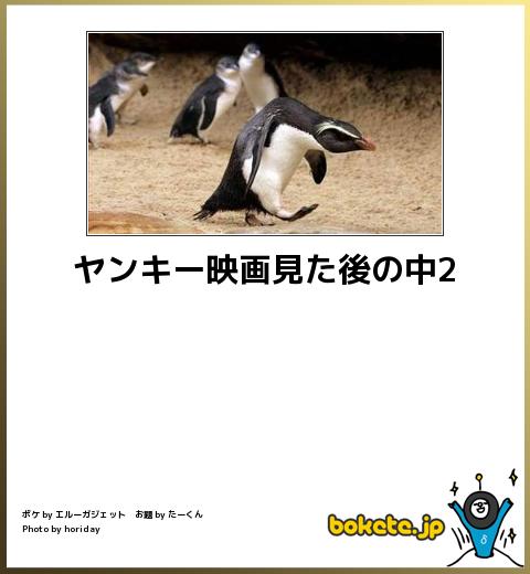 ヤンキーみたいな動物の画像を貼るトピ