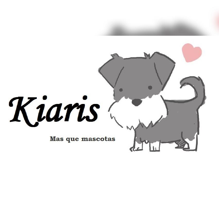 今週の「べっぴんさん」【商いの聖地へ】