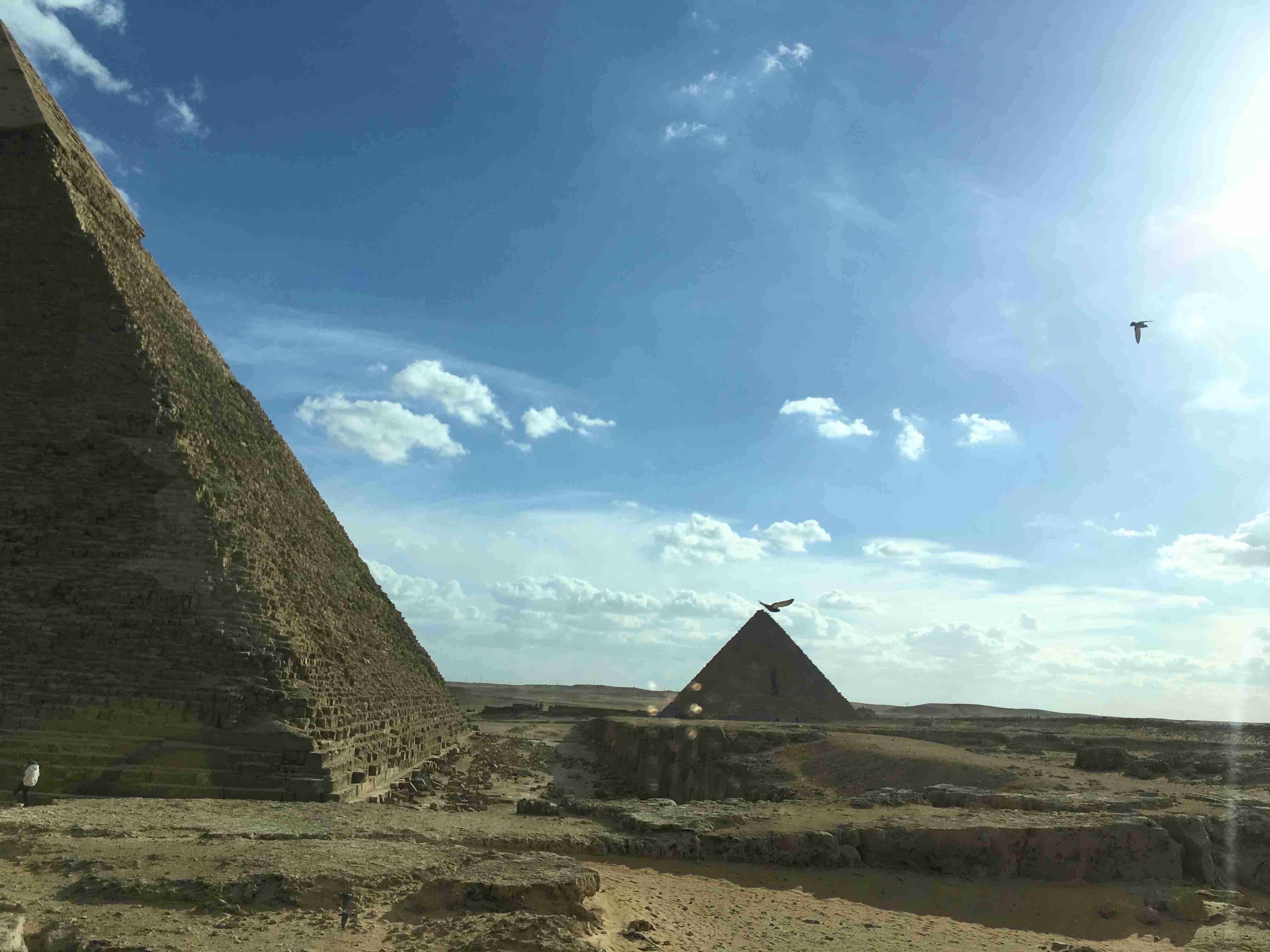 今年何回旅行に行きましたか？