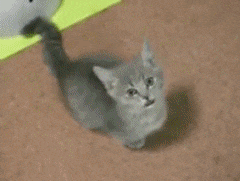 冬に向けて太り始めた方〜
