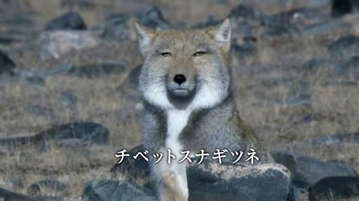 がるちゃんやってて暗黙のルールがわからない人