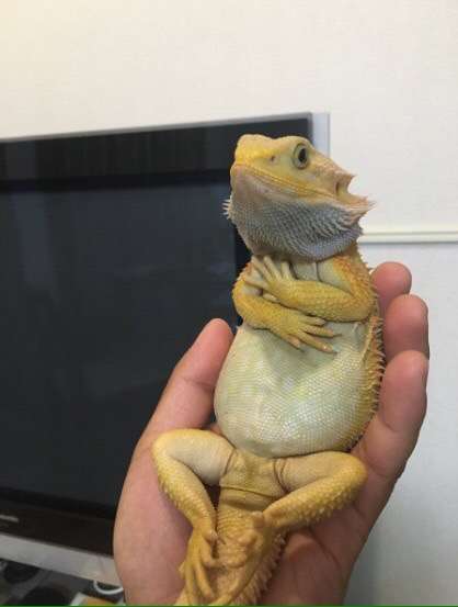 保存したくなる画像