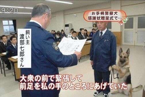 保存したくなる画像