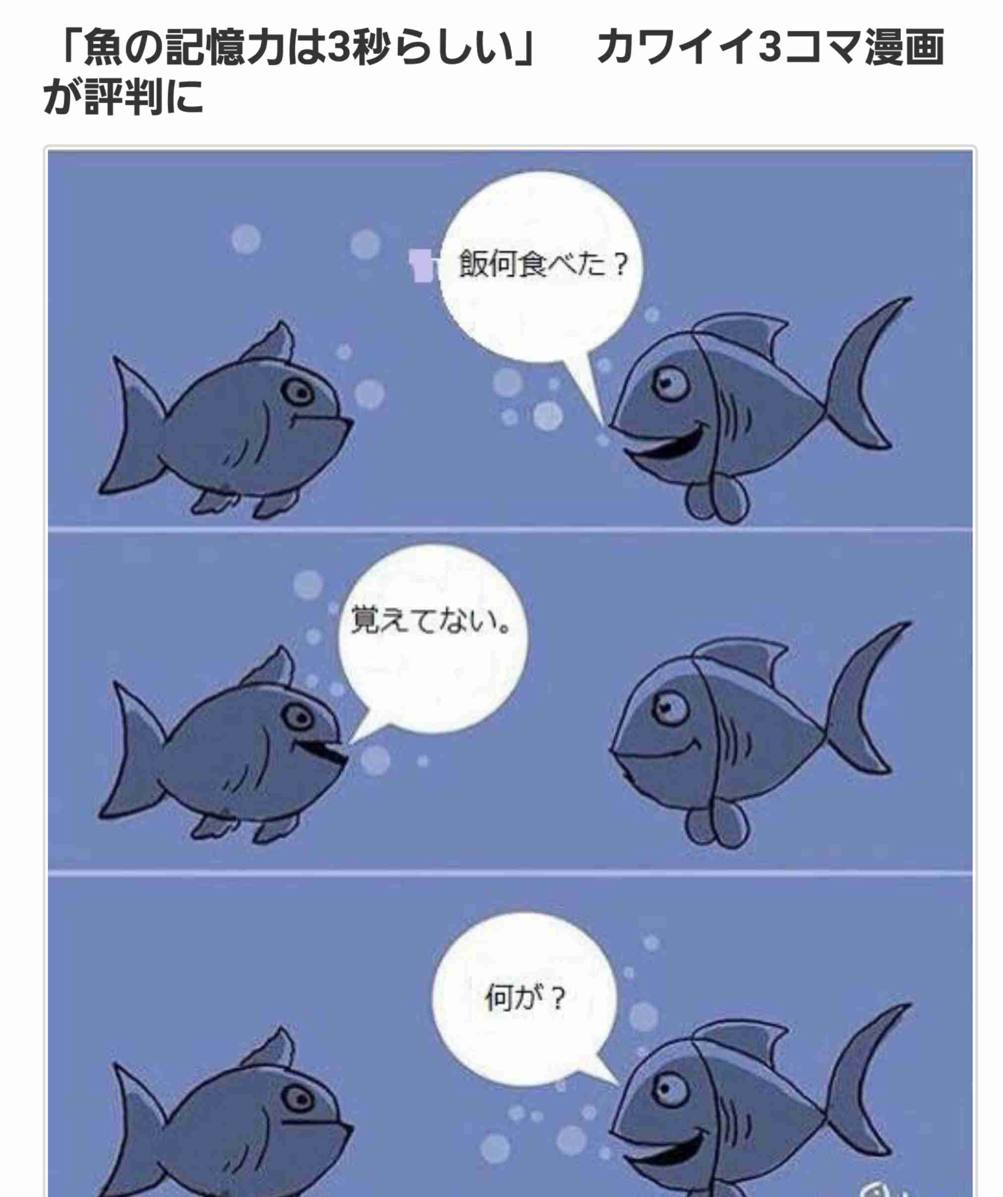 保存したくなる画像