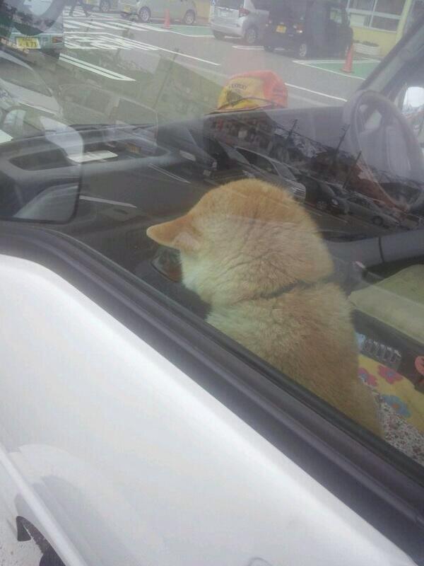 保存したくなる画像