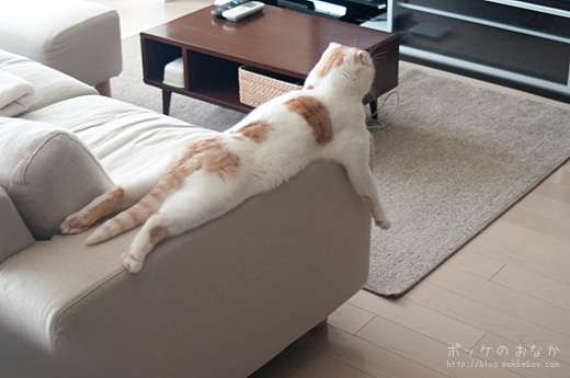 保存したくなる画像