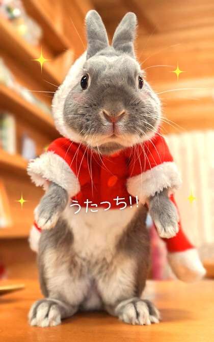 保存したくなる画像