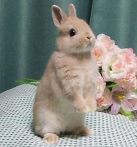 保存したくなる画像