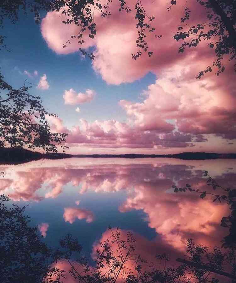 保存したくなる画像