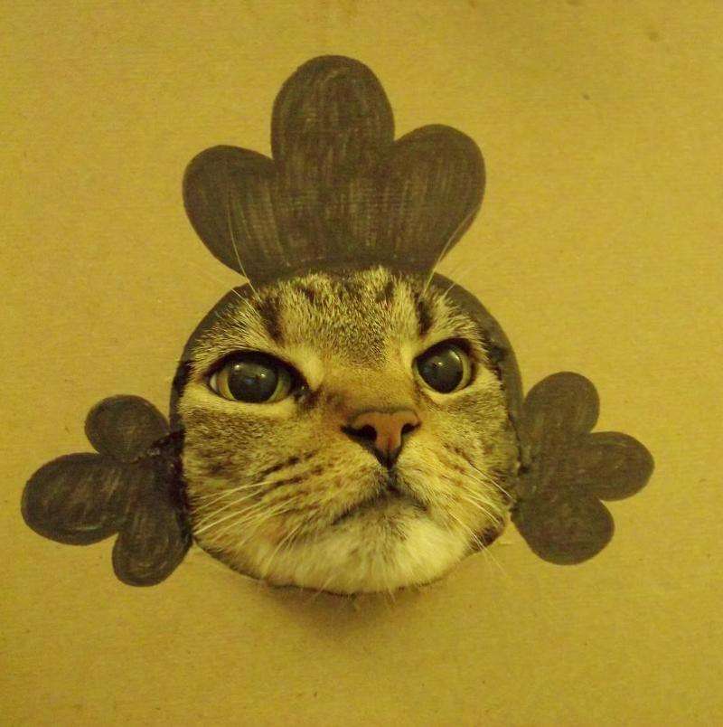 保存したくなる画像