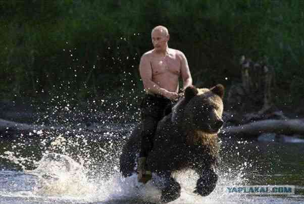 保存したくなる画像