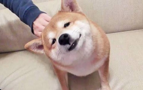 保存したくなる画像