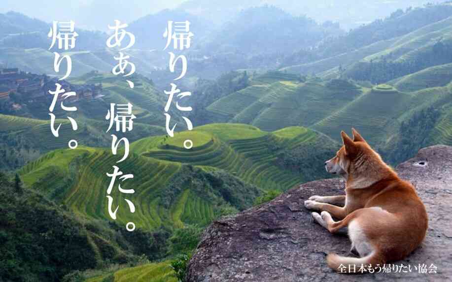 保存したくなる画像